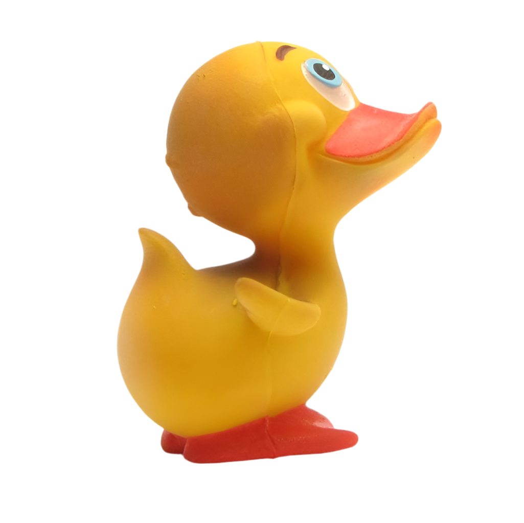 Happy Duck