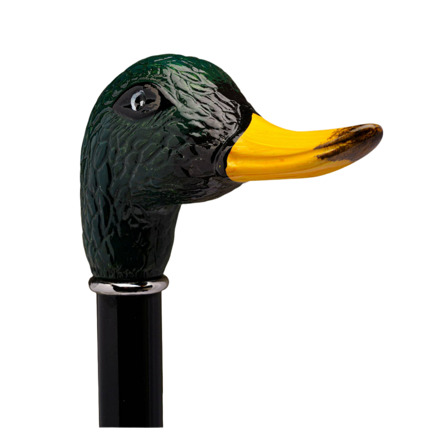 Duck Mallard