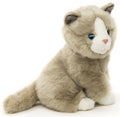 Peluche Chat Gris Assis