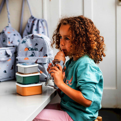 Dinosaur World Plastic Bottle