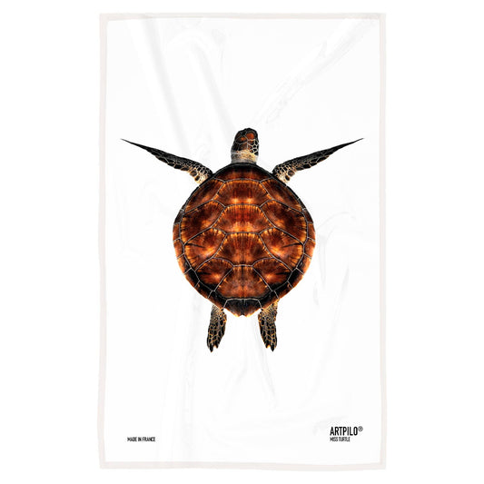 Miss Turtle Dishcloth