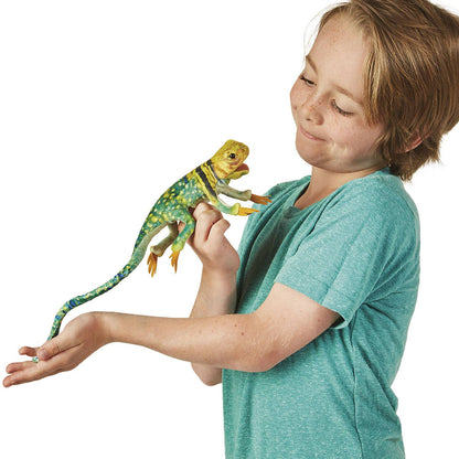 Marionnette à main Mini lézard à collier/Mini lézard 2798 Folkmanis réaliste