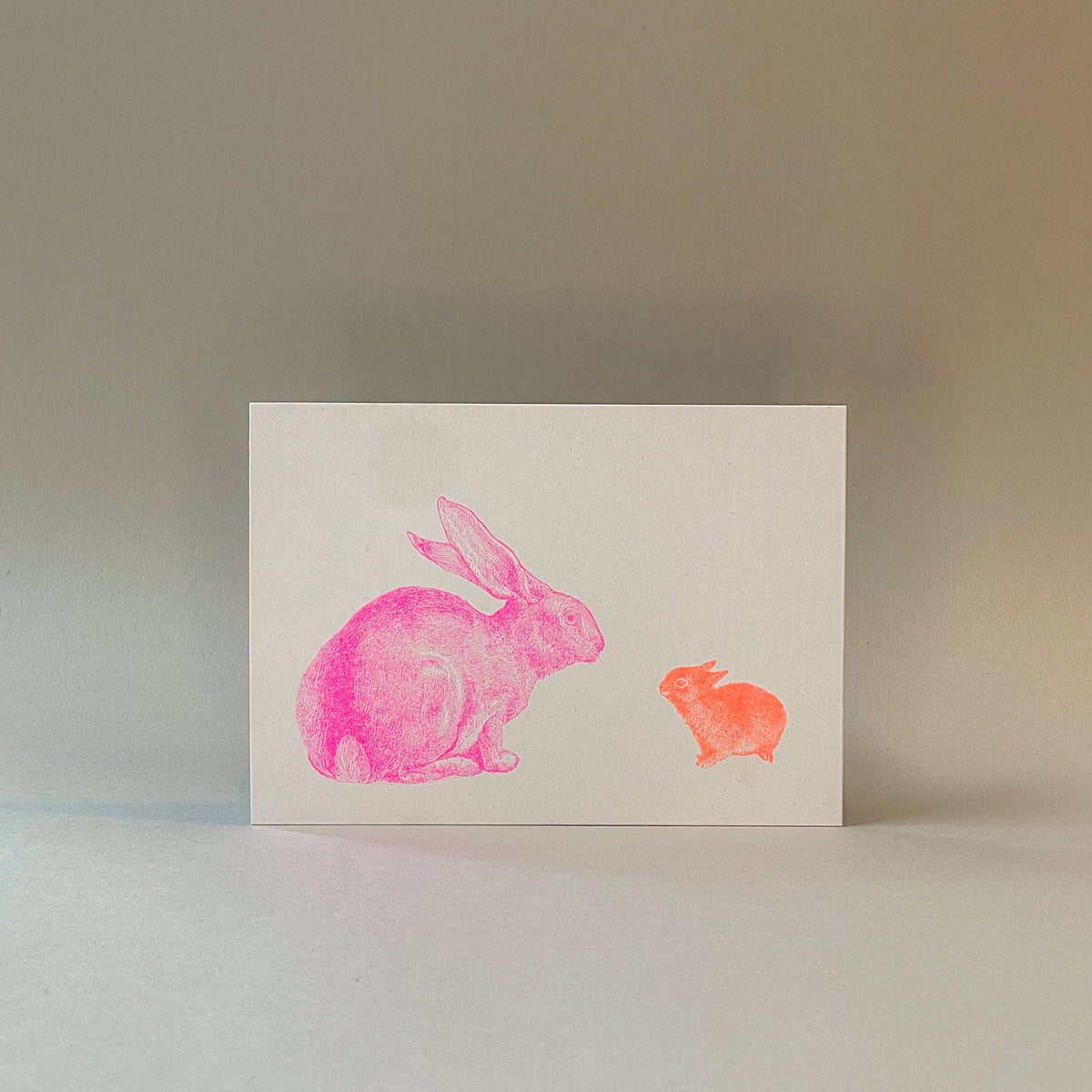 Rabbit Postcard