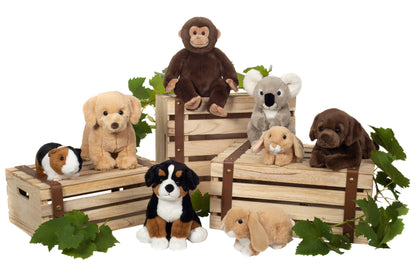 Sitting Bernese Mountain Dog Plush Toy