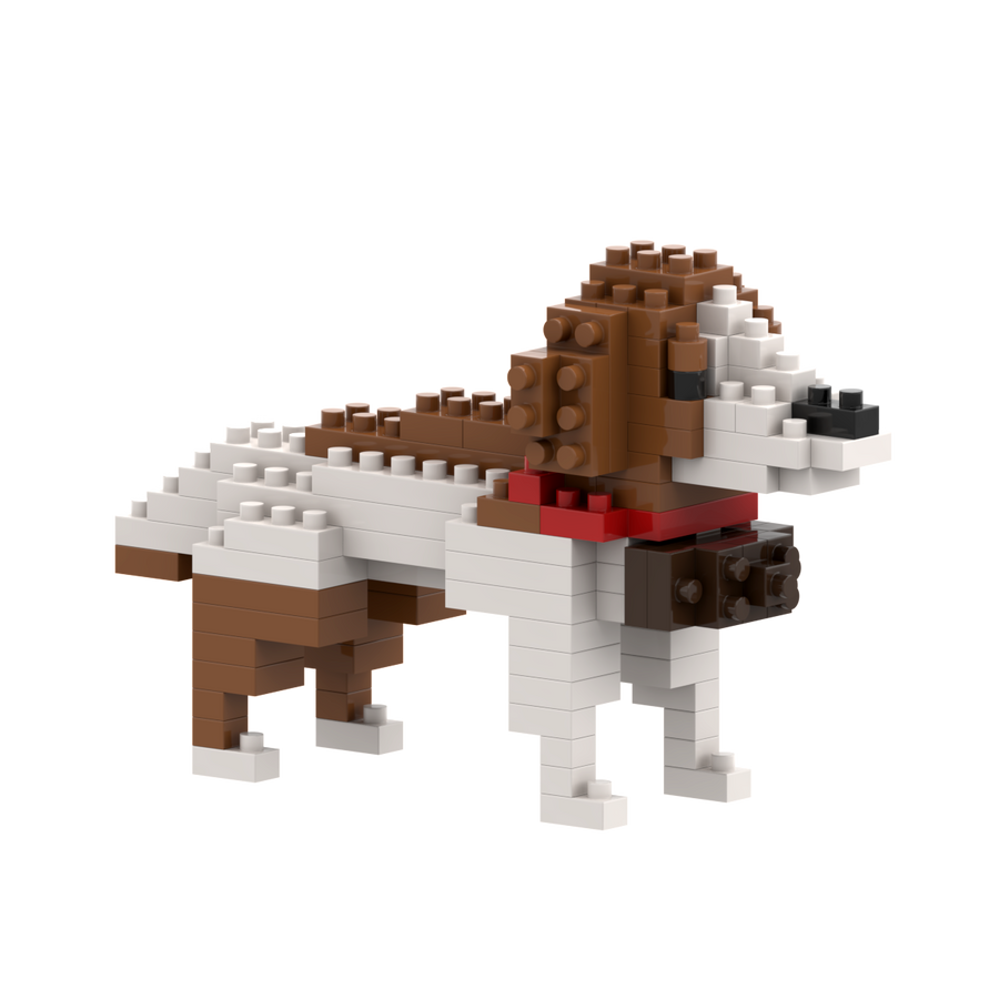 Saint-Bernard