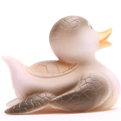 Canard tortue de mer