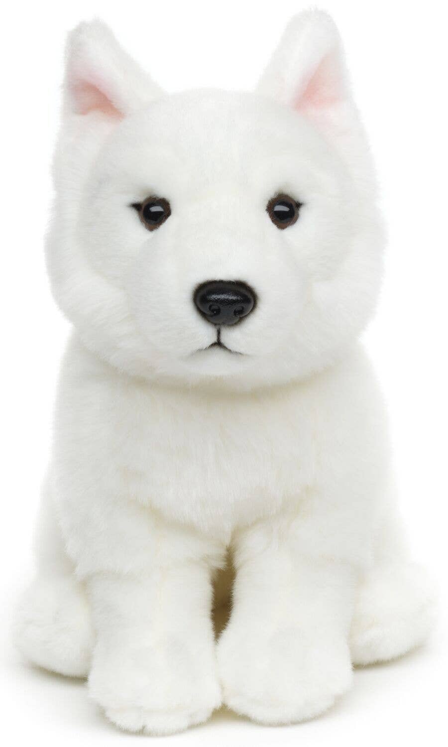 Peluche chiot berger suisse blanc sans laisse