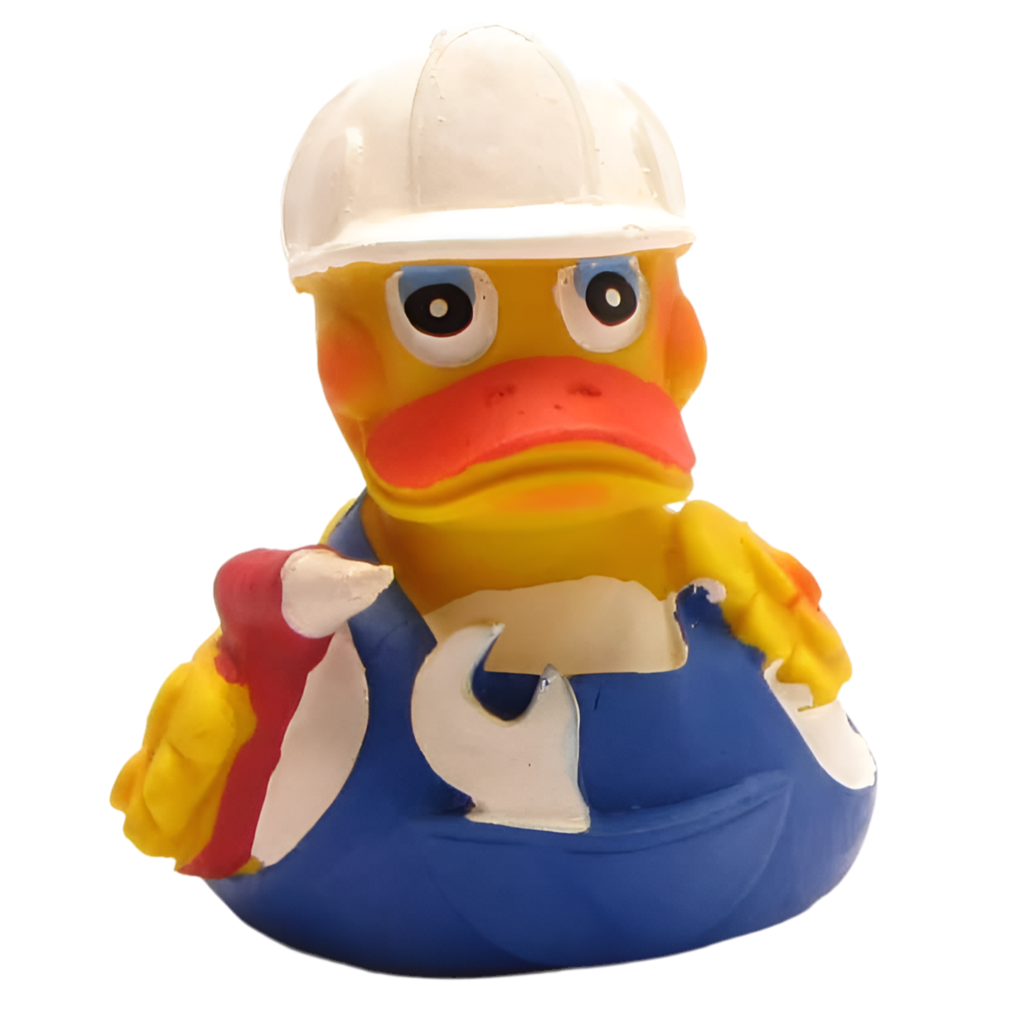 canard bricoleur lanco