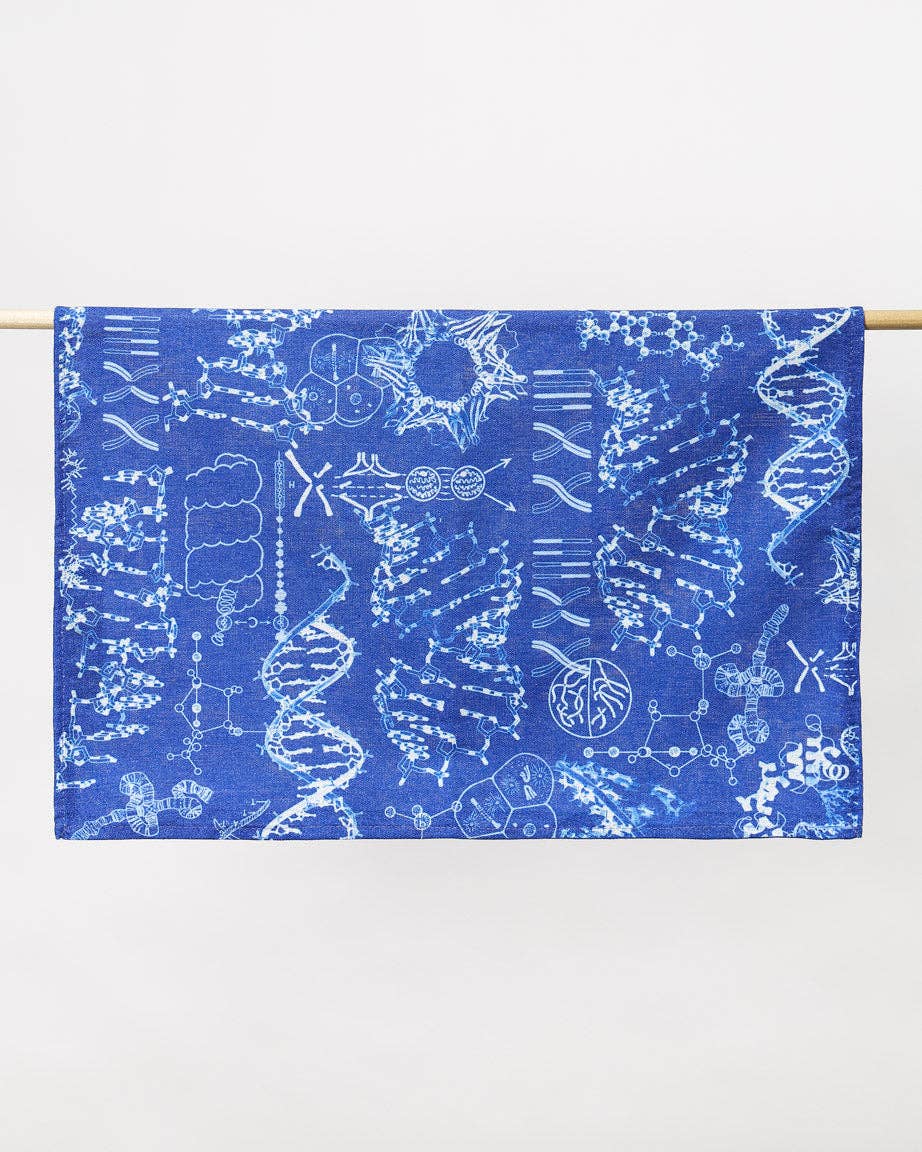 Genetica e DNA Rag
