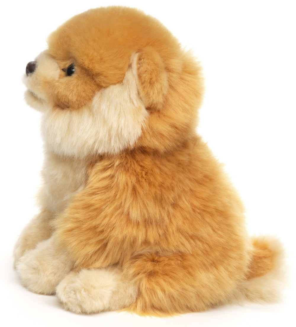Peluche Spitz nain – 17 cm