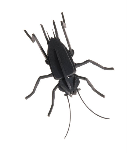 Modèle En Papier 3D - Criquet