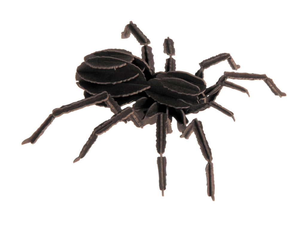 Modello di Carta 3D - Tarantule