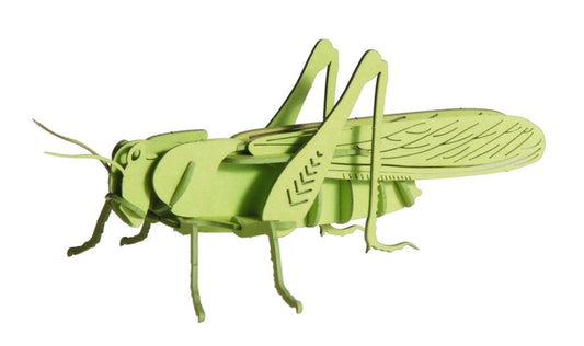 3D Paper Model - Grasshopper