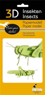 Modello di Carta 3D - Sauterelle