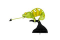 3D-Papiermodell - Caméléon