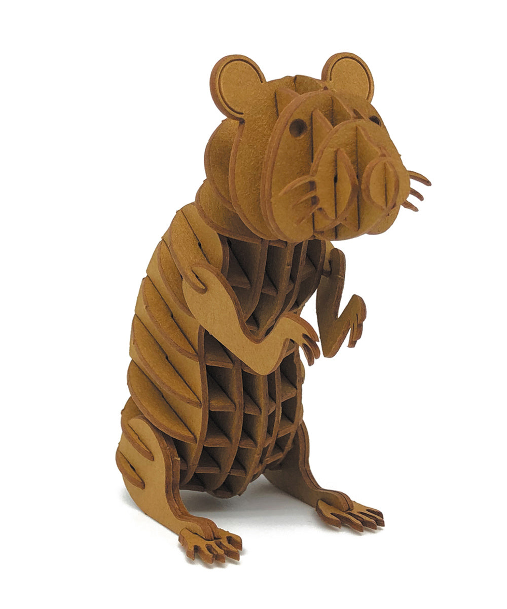 Modello di carta 3D - Criceto