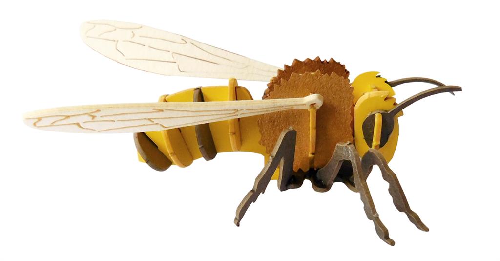 Modello di carta 3D - Ape