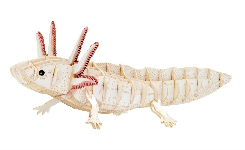3D Paper Model - Axolotl