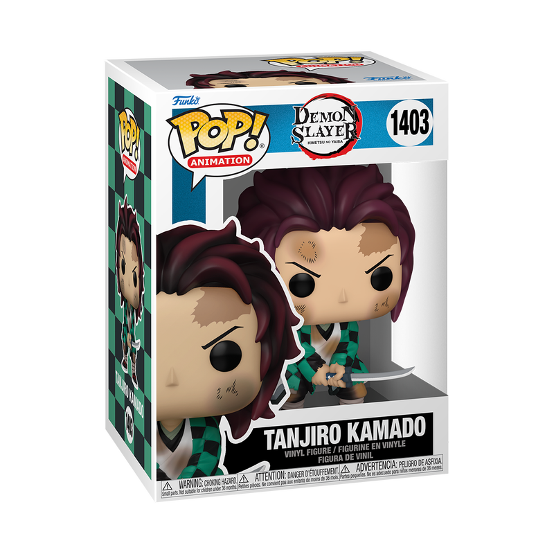 Tanjiro Kamado "Training" 