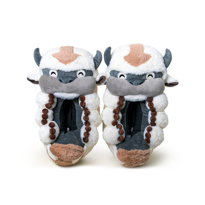 Appa Slippers