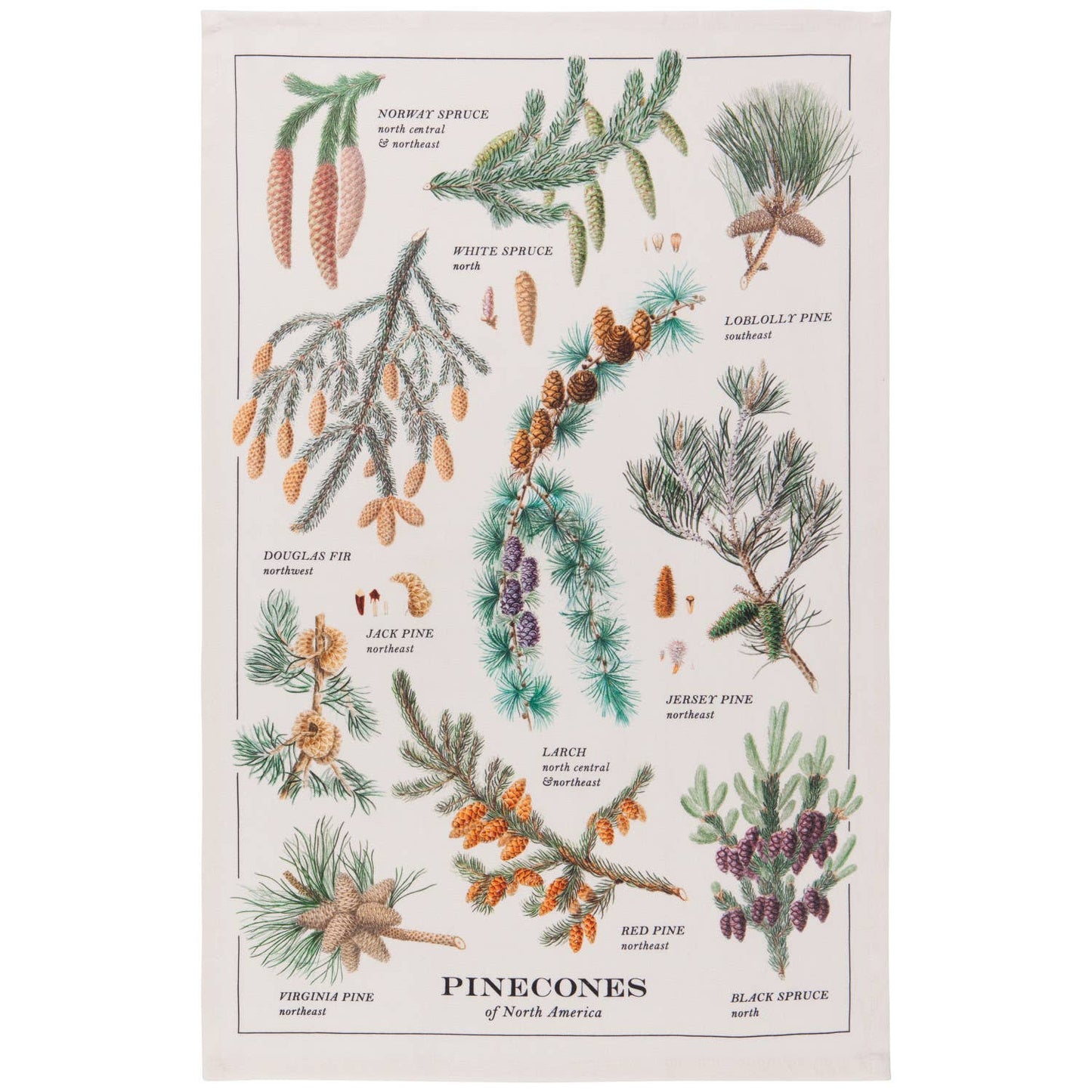 Pinecones dish towel