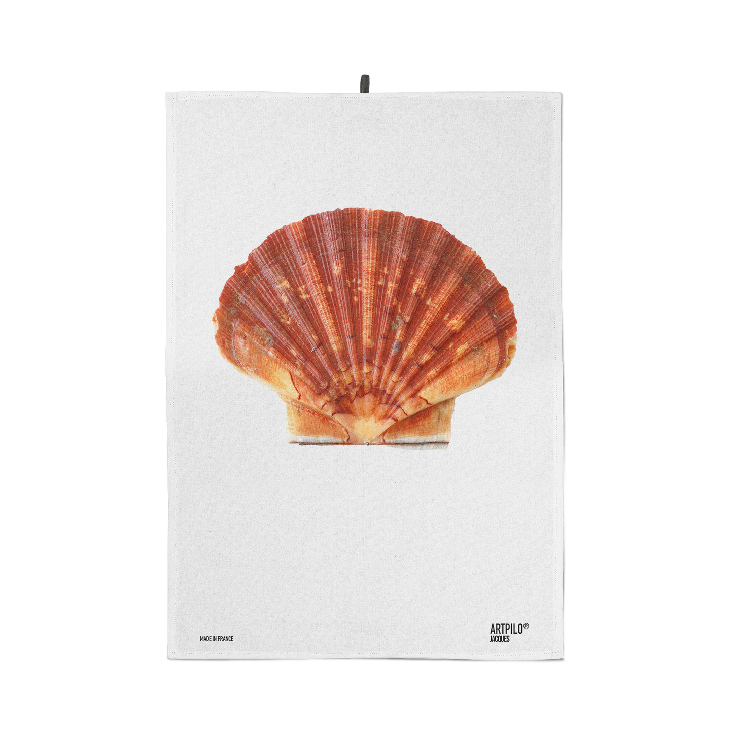 Jacques the Shell Dishcloth