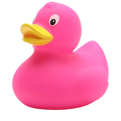 canard classique rose