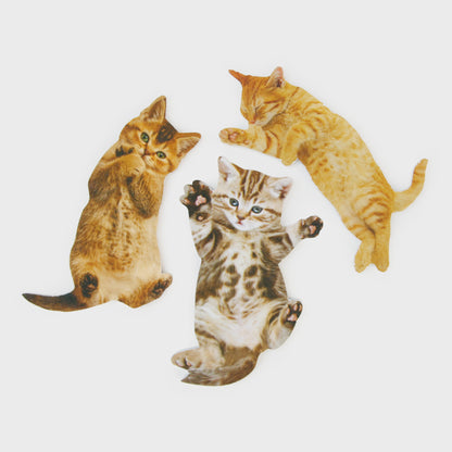 Limes à ongles pour chats