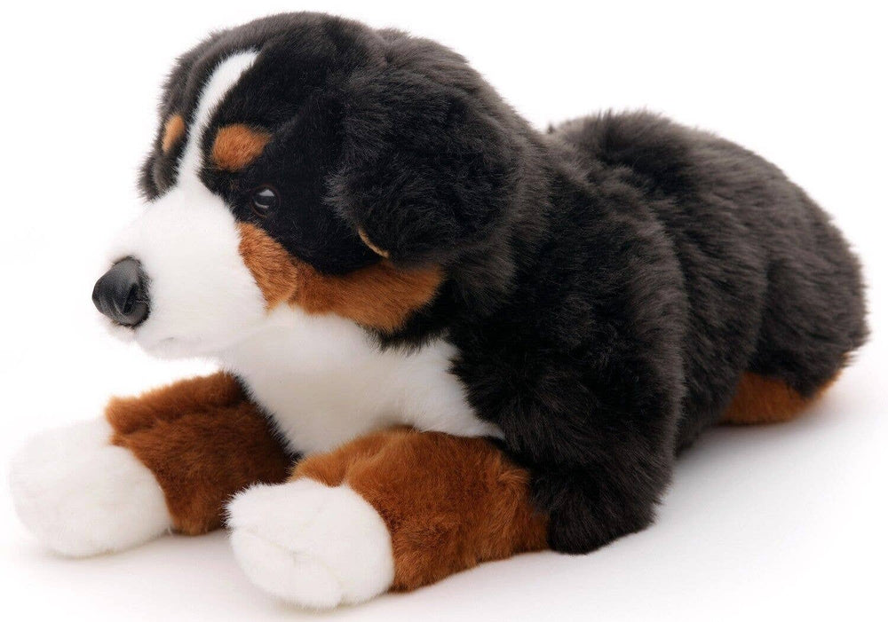 Peluche Bouvier Bernois, Couché, 46 cm (Longueur)