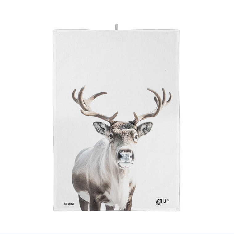 Reindeer Dishcloth