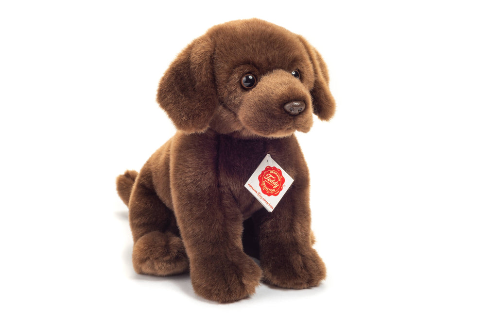 Sitzender Dunkelbrauner Labrador aus Plüsch – 25 cm