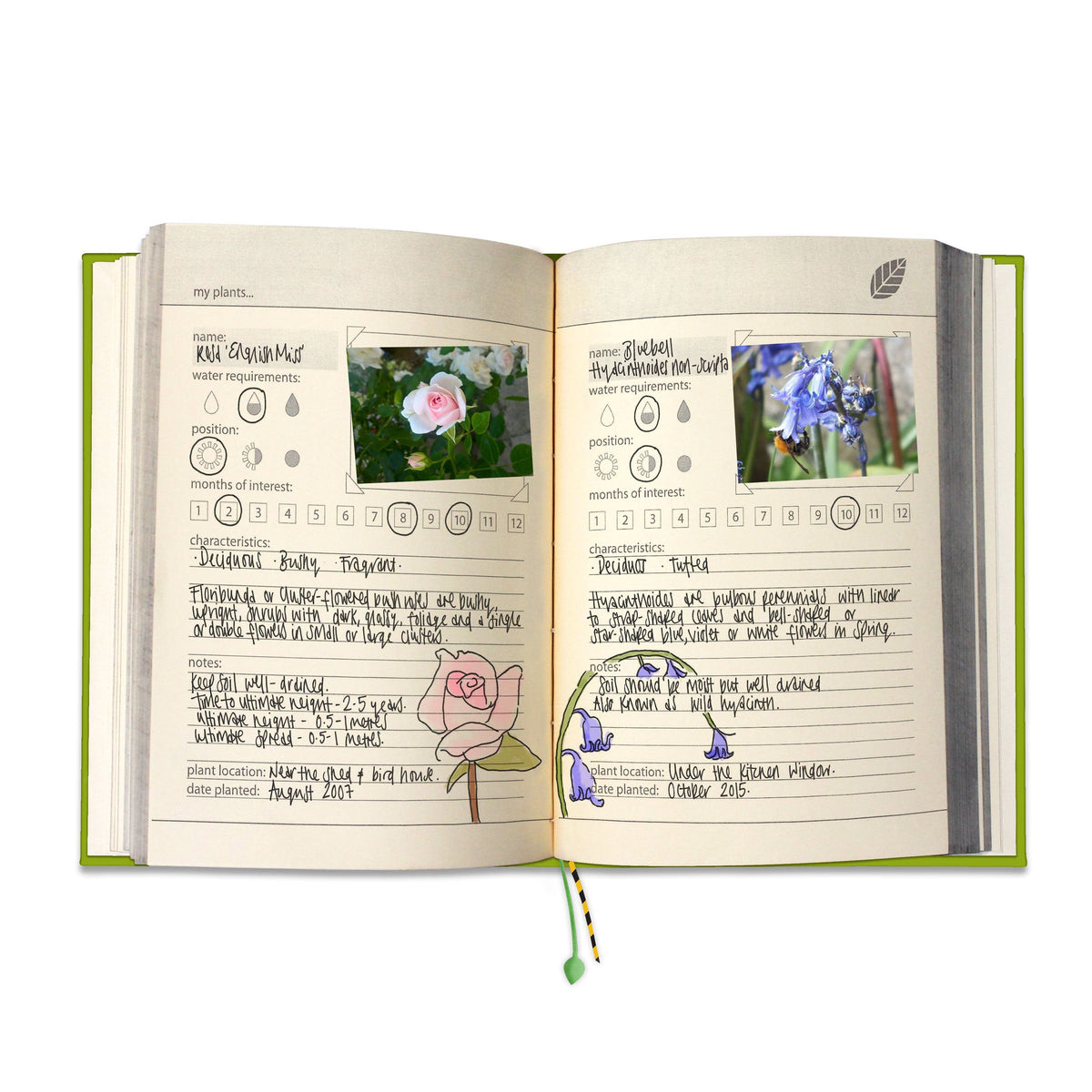 My Gardening Handbook