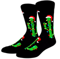 Christmas Cactus Socks