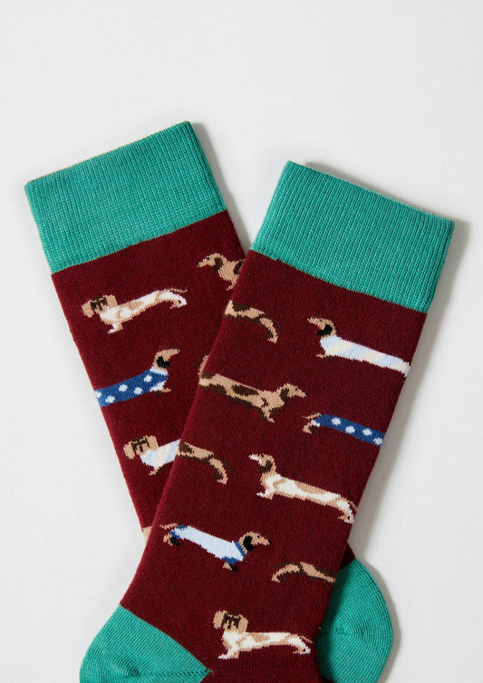 BePets Bourgogne - Chaussettes en coton biologique à 100%