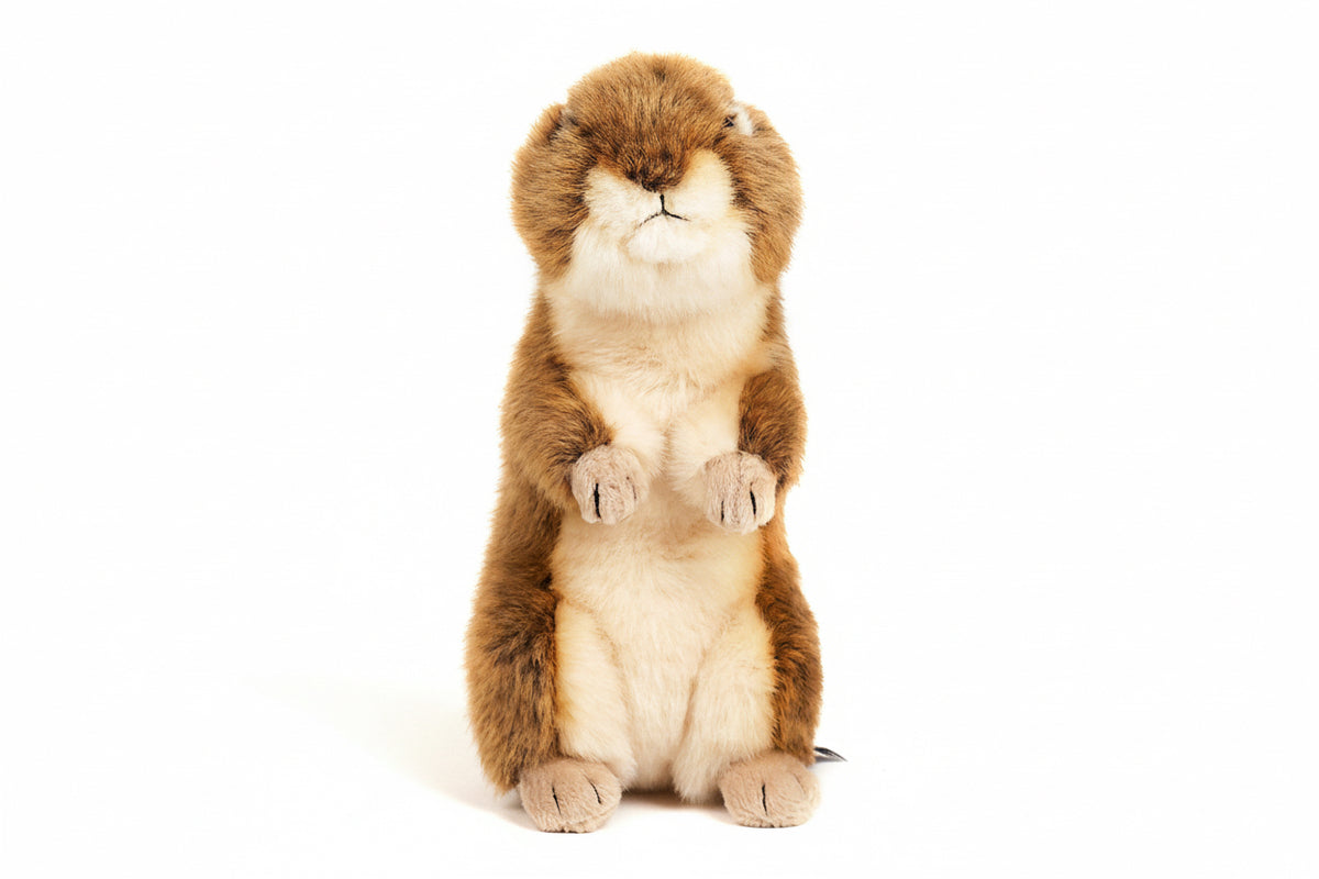 Peluche écureuil terrestre debout