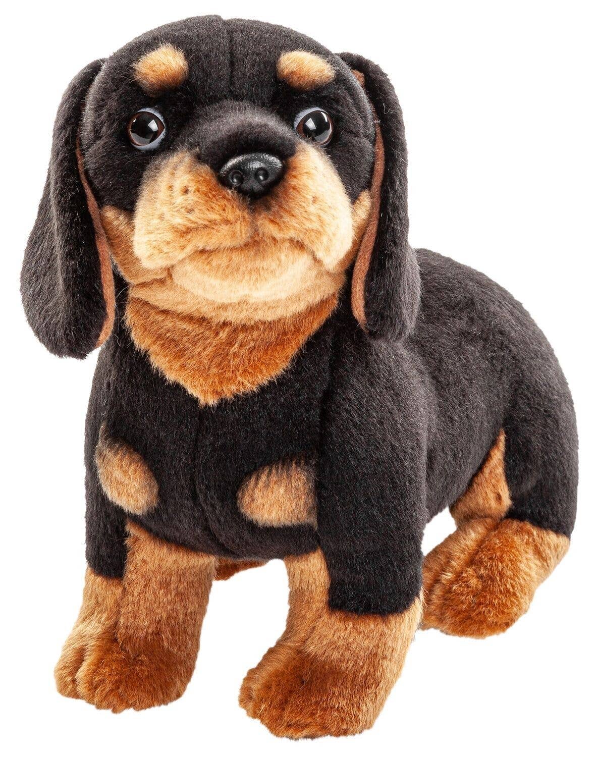 Peluche teckel sans laisse