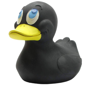 Canard Noir XXL