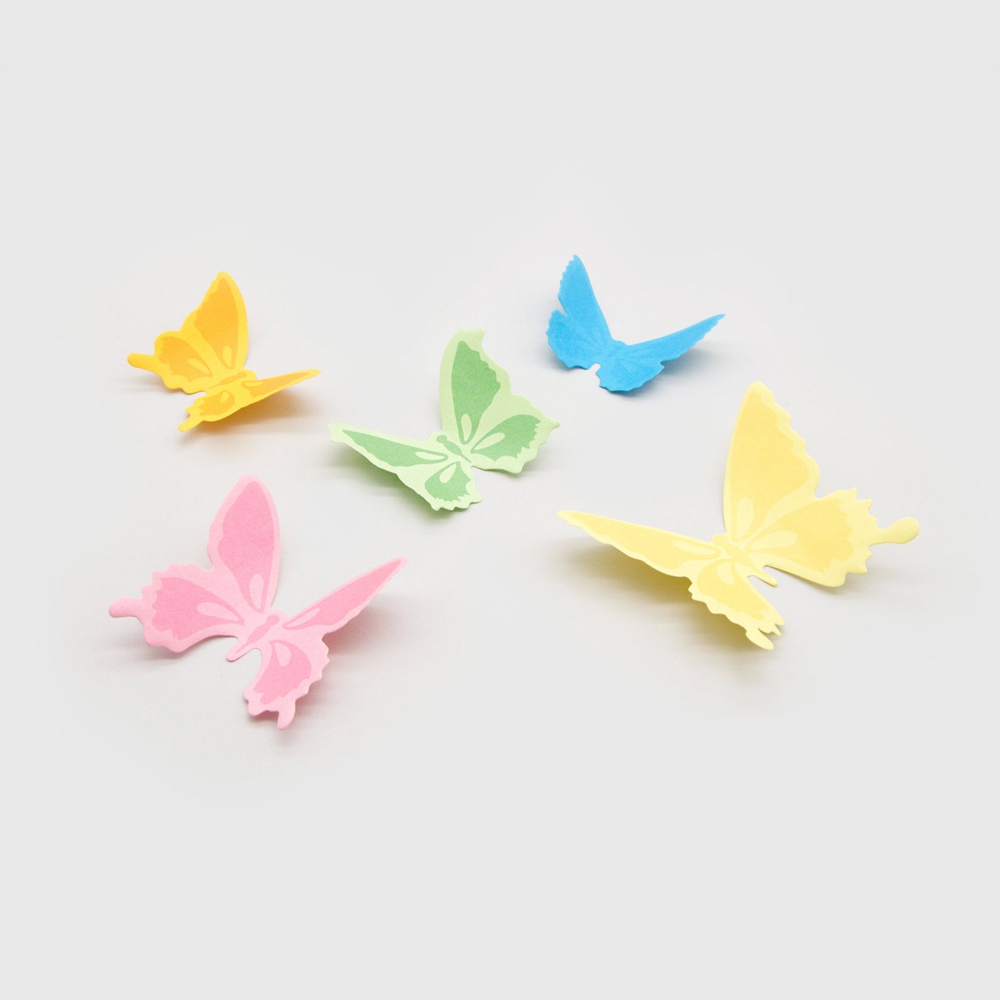 3D Sticky Note Specimen Box (50% off)