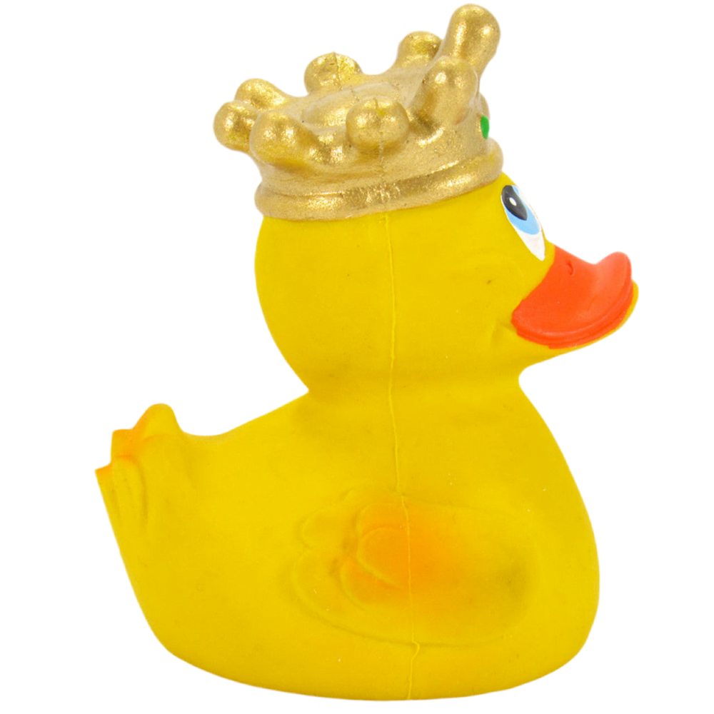 Canard Roi