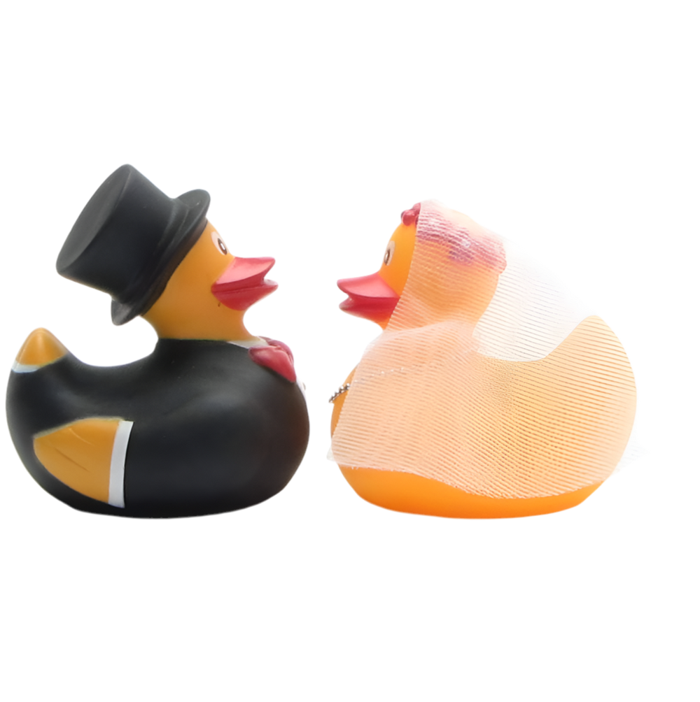 Married Duckling Couple