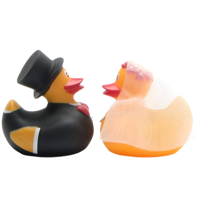 Married Duckling Couple