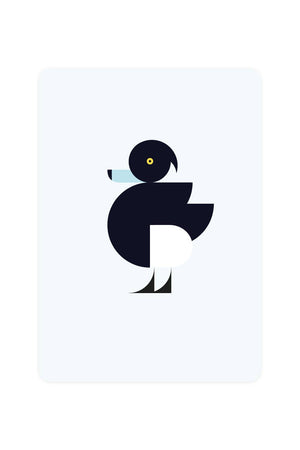 Carte Postale avec Canard Tufté