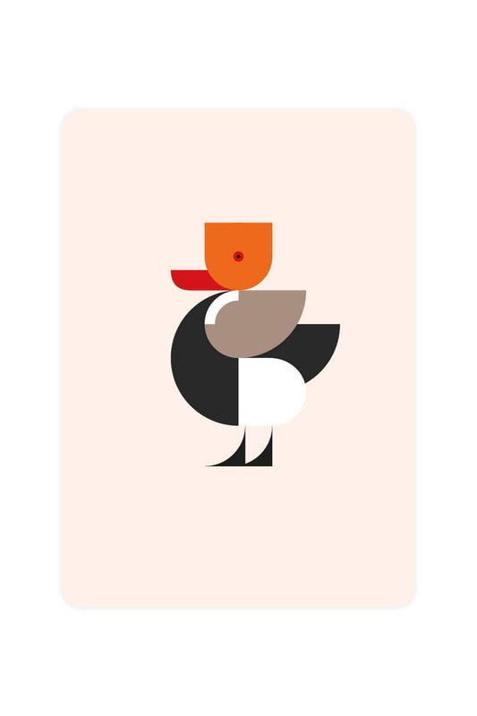 Postcard with the red-crested pochard