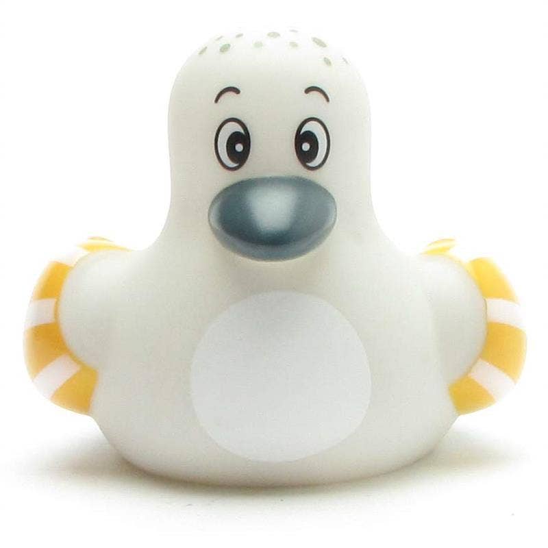 Gabbiano bambino