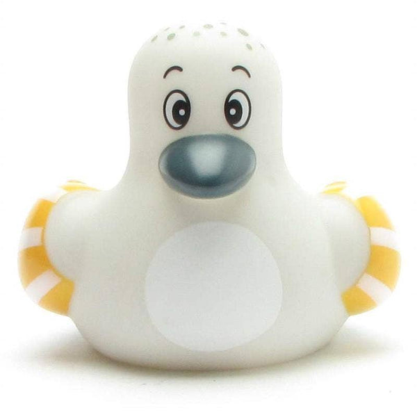 Baby Seagull