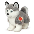 Peluche Husky in Piedi