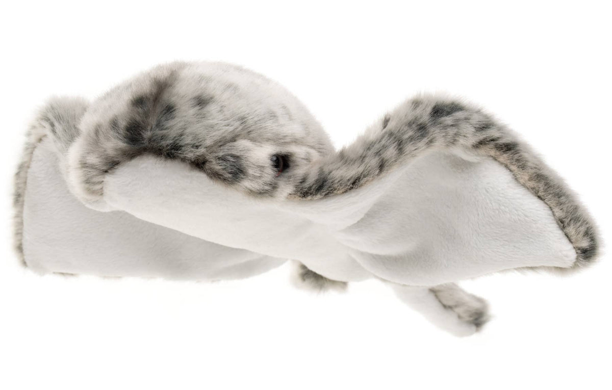 Peluche raie