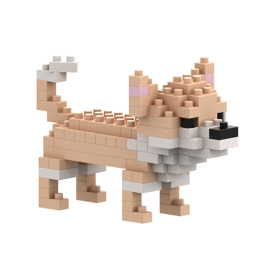 Chihuahua