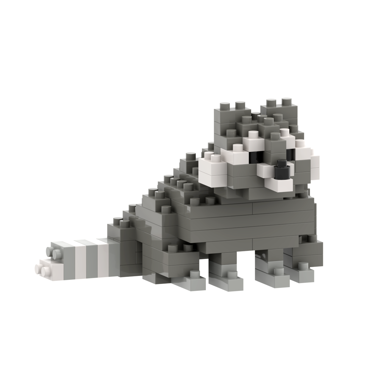 BRIXIES raton laveur