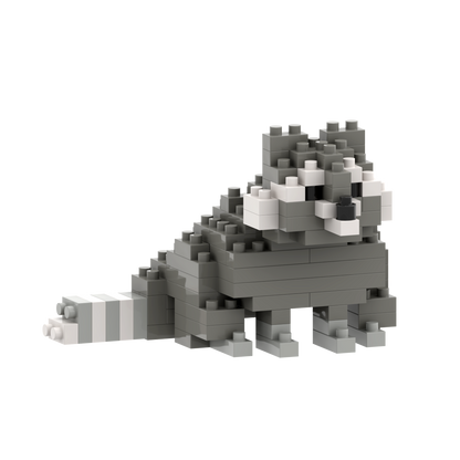 BRIXIES raton laveur